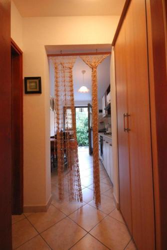 Apartment Novigrad 7335b