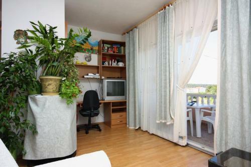Hostal Apartment Barbat 5005a