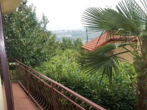 Apartment Camelia