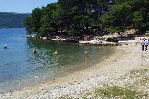 Apartment Stari Grad 8762a
