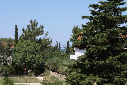 Apartment Novalja 6490c