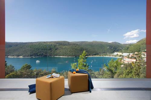 Luxury Apartments Istra Fortuna