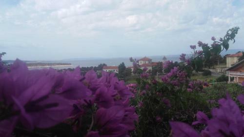 Apartments Marica