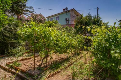 Apartamento Holiday Home Lina Cipollina