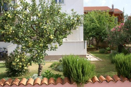 Apartment Vodice 4236a