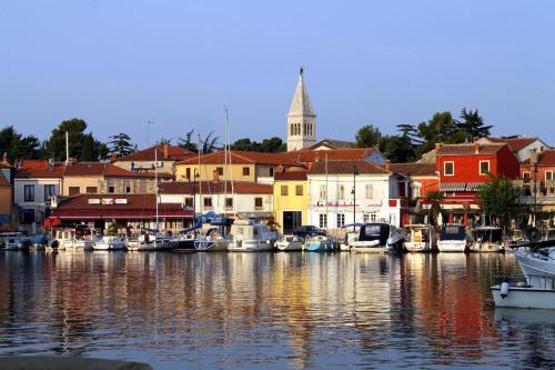 Family Friendly Seaside Apartments Novigrad - 7118