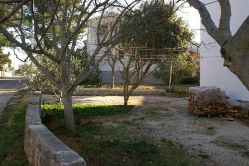 Apartamentos Studio Biograd Na Moru 4303a
