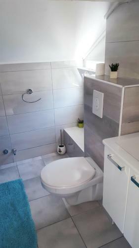 Apartmani Brzica