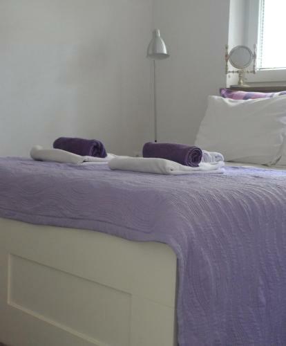 Apartments Prgomet