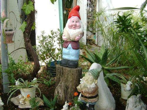 Hostal Guest House Marijana
