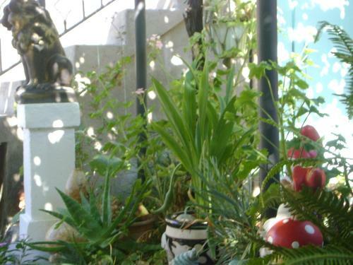 Hostal Guest House Marijana