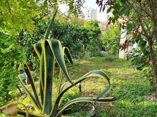 Apartments De La Marina