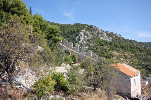 Apartment Hvar 3229a