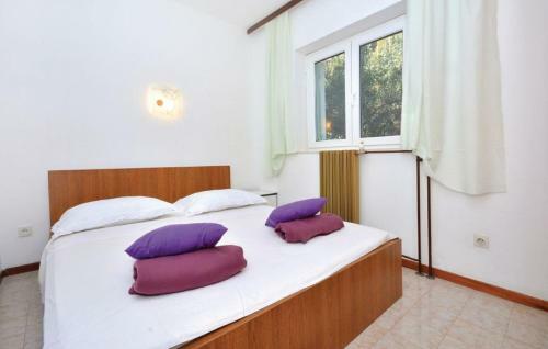 Apartments Seka
