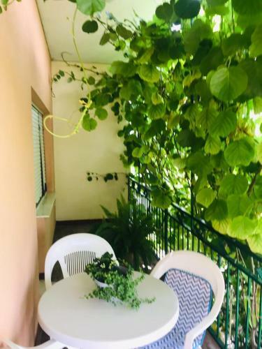 Apartment Jadranka