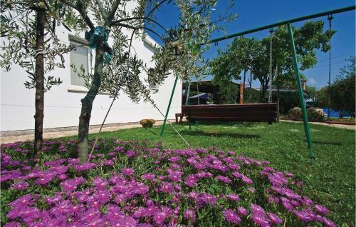 Apartment Liznjan Montiron II