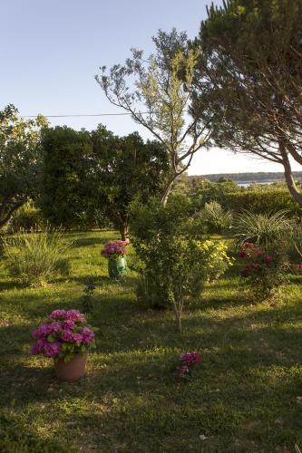 Apartment Milada