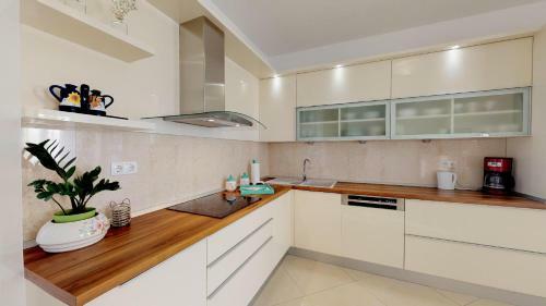 Radovani Luxury Apartment With Private Pool