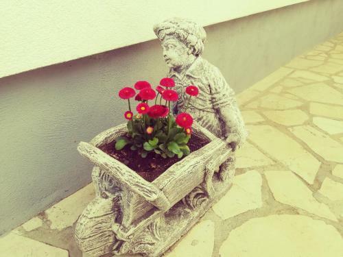 Apartment Ines