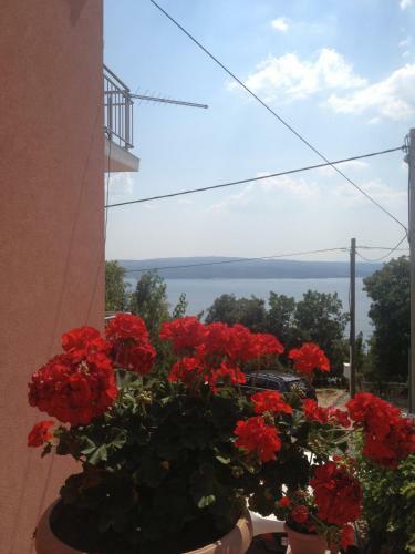 Apartamentos Villa Mirjana