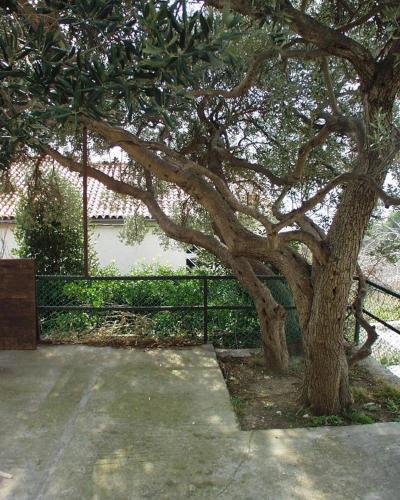 Apartment Baska Voda 300b