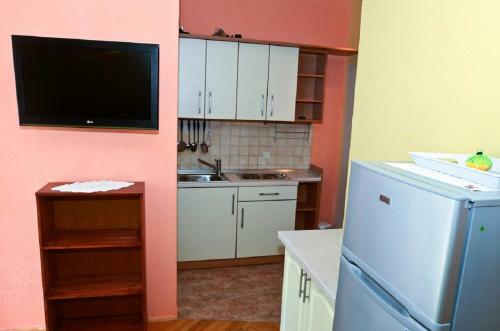 Apartments Vida