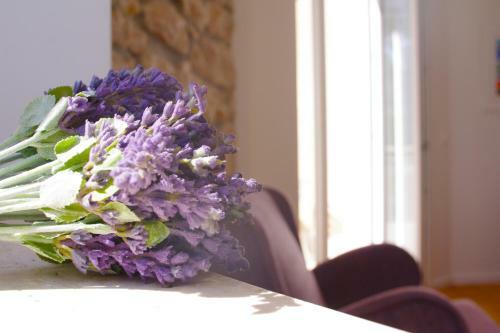 Hostal Guest House Villa Dagmar