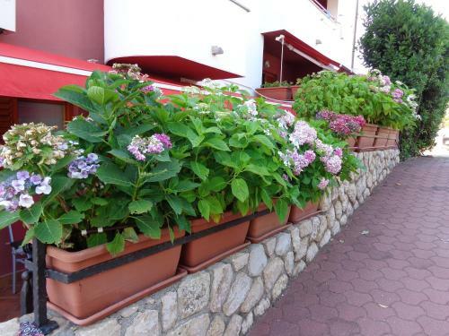 Apartment Adrijan II