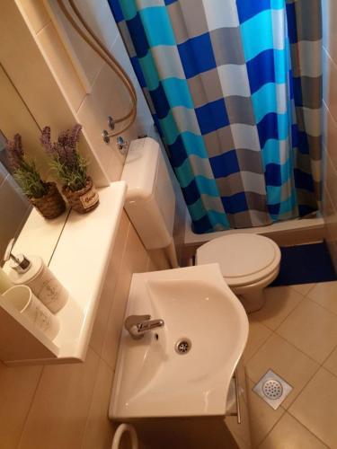 Apartments Korina 2866