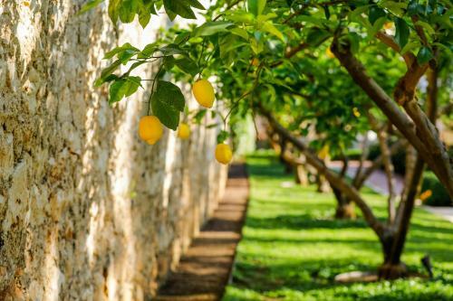 Hotel Lemongarden - Adults Only