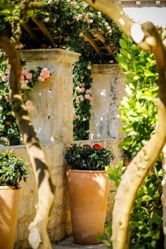 Hotel Lemongarden - Adults Only