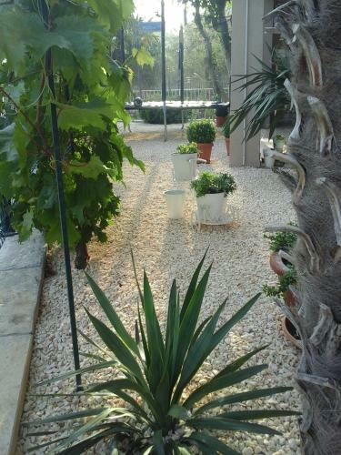 Apartments Anita Frane