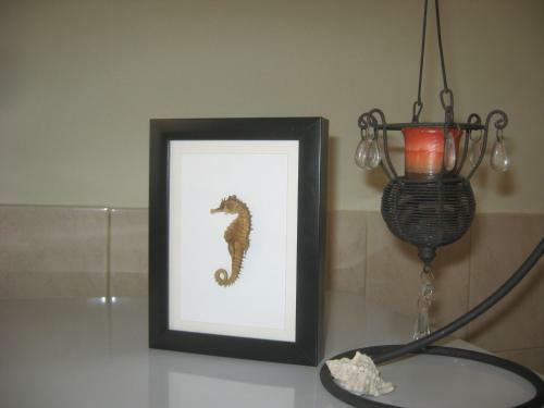 Nena City Center Apartment