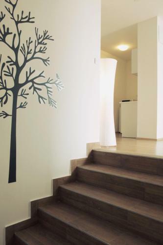 Apartments Tonka Centar