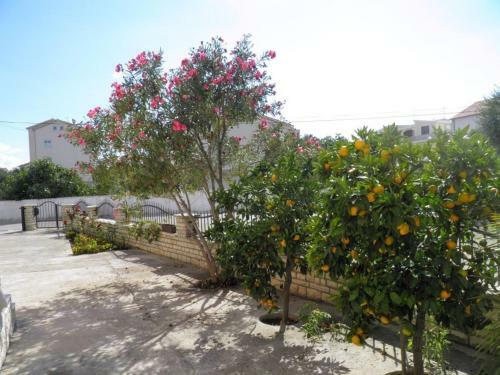 Apartments Tonimir