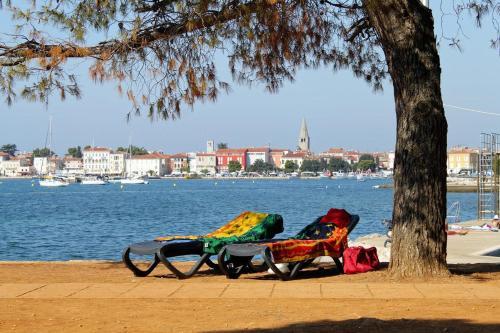 Hostal Apartments With A Parking Space Porec - 2217