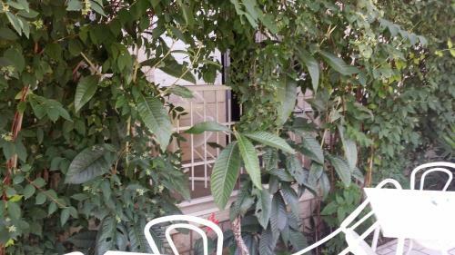 House Danica Apartments & Rooms