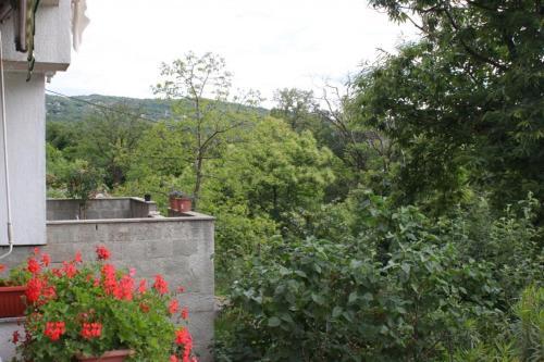 Apartments With A Parking Space Opric (opatija) - 7834