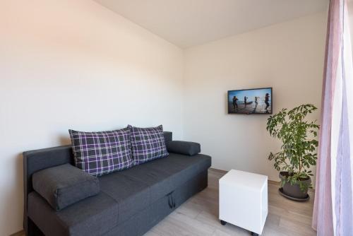 Apartments Robi