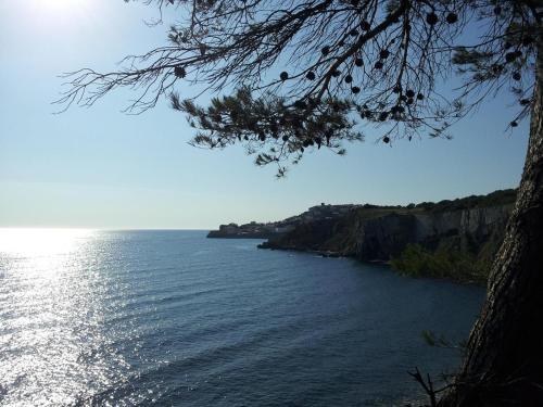 Apartamentos Riells Park