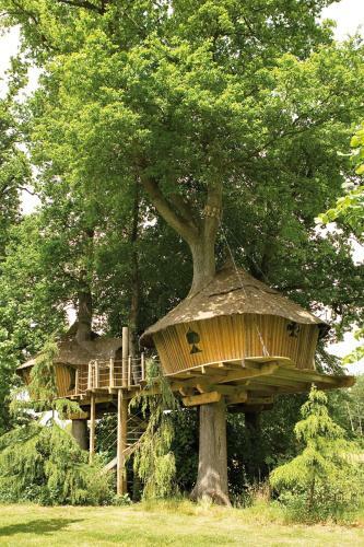 Bed & Breakfast Insolite Dans Les Arbres Les Ormes, Epiniac