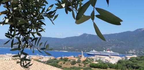Apartamentos R�sidence Casa R�gina