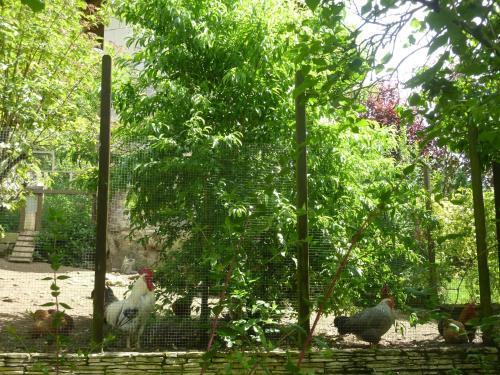 Hostal G�te De Charme : L'ancienne Grange