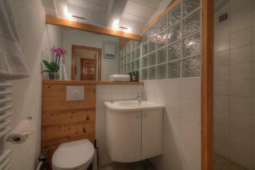 Apartamento Androsace 41