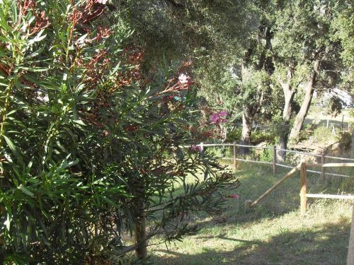 Posada Chambres Le Relais De Sisco