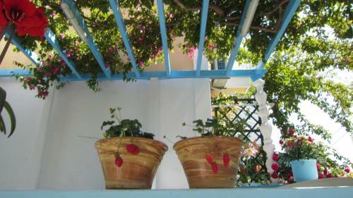Hostal G. Sandalis Hotel