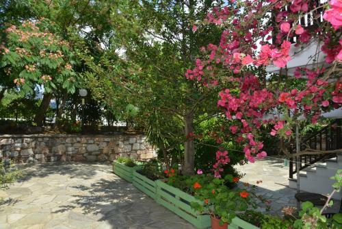 Apartamento Anofli Suites