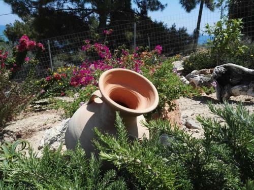 Apartamento Bouganville Studios Stegna