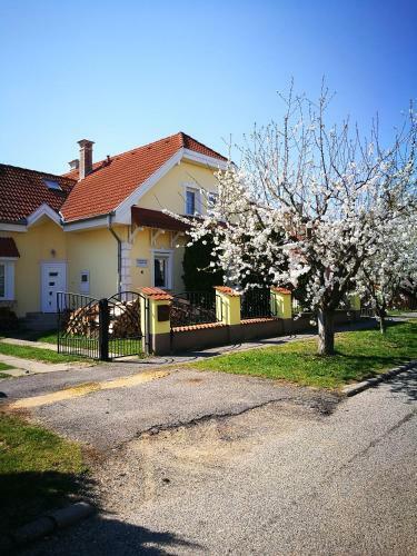 Hostal Kov�cs Vend�gh�z