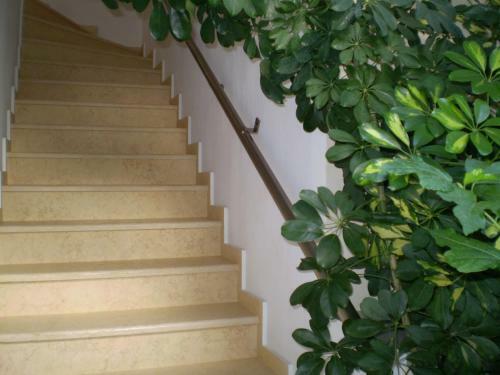 Apartamento Studios Zoi